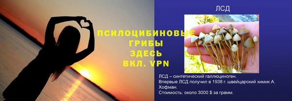 ешки Алзамай