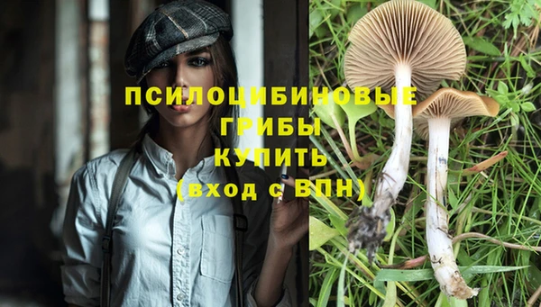 ешки Алзамай