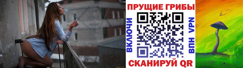 Галлюциногенные грибы MAGIC MUSHROOMS  Перевоз 